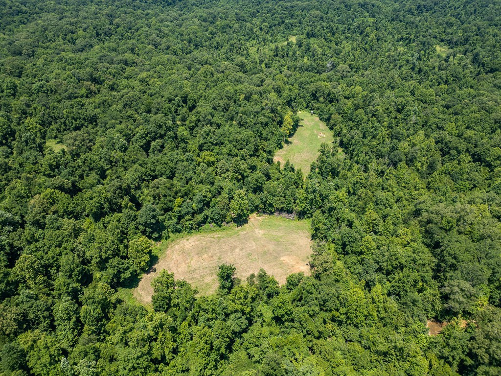 3169 Karnac Ferry Road Port Gibson, MS 39150 - Photo 4 of 49 Photo 4