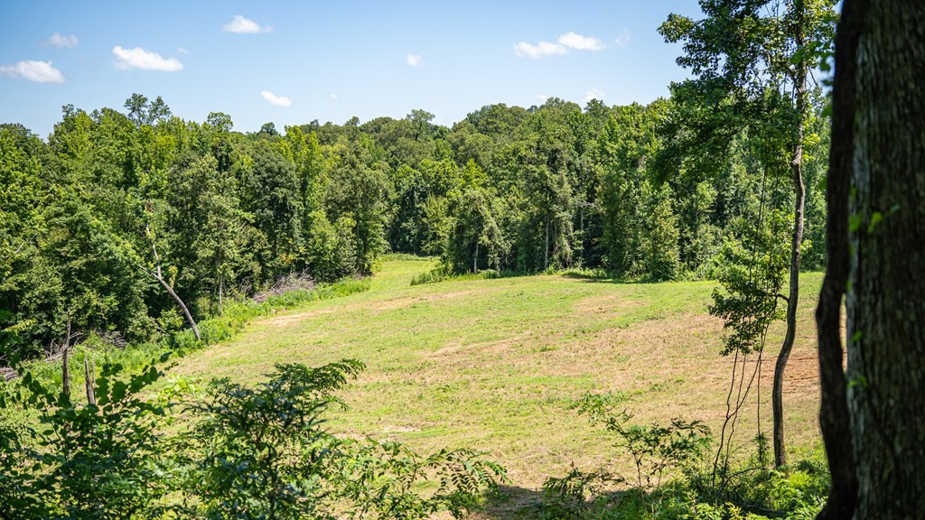3169 Karnac Ferry Road Port Gibson, MS 39150 - Photo 41 of 49 Photo 41