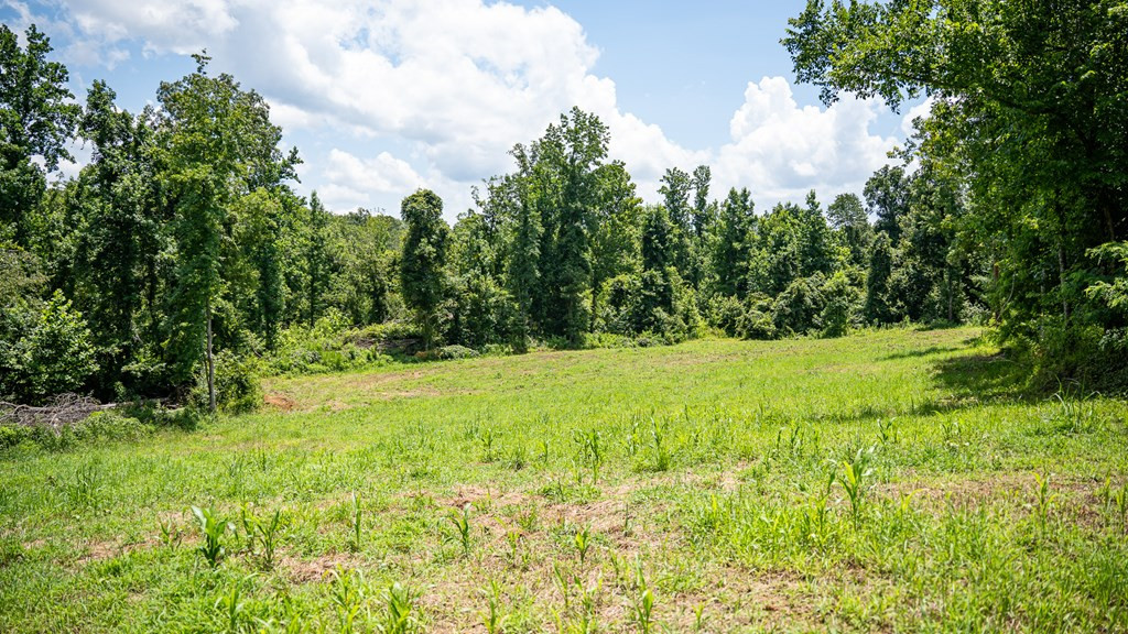 3169 Karnac Ferry Road Port Gibson, MS 39150 - Photo 43 of 49 Photo 43