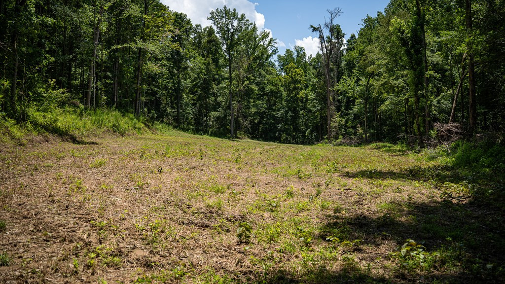 3169 Karnac Ferry Road Port Gibson, MS 39150 - Photo 44 of 49 Photo 44