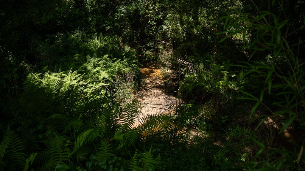 3169 Karnac Ferry Road Port Gibson, MS 39150 - Photo 45 of 49 Photo 45