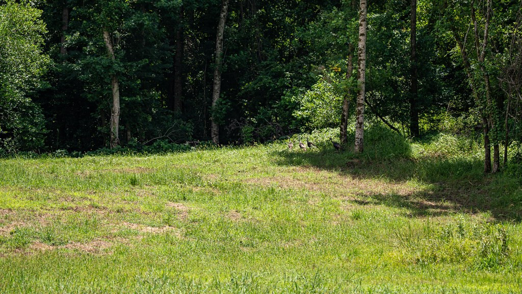 3169 Karnac Ferry Road Port Gibson, MS 39150 - Photo 47 of 49 Photo 47