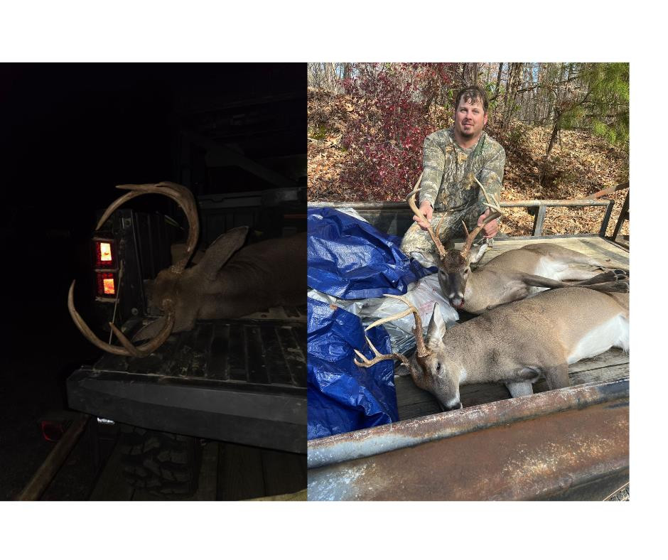 3169 Karnac Ferry Road Port Gibson, MS 39150 - Photo 49 of 49 Photo 49