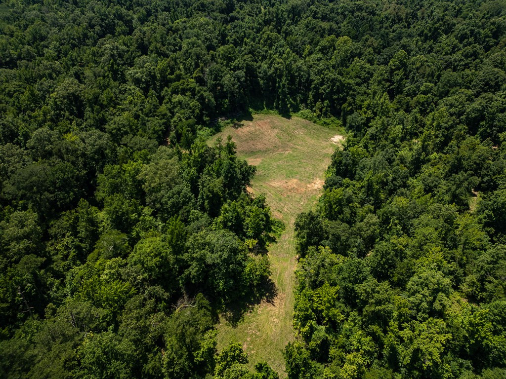 3169 Karnac Ferry Road Port Gibson, MS 39150 - Photo 8 of 49 Photo 8