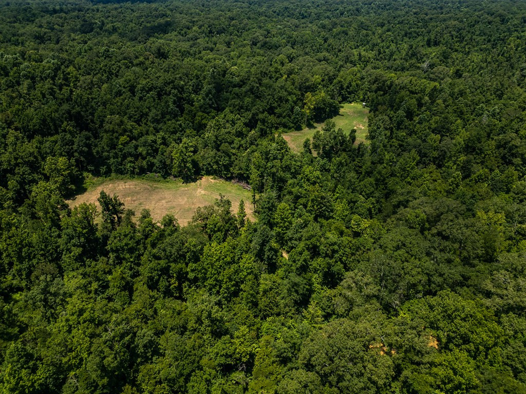 3169 Karnac Ferry Road Port Gibson, MS 39150 - Photo 9 of 49 Photo 9