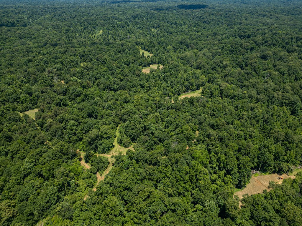 3169 Karnac Ferry Road Port Gibson, MS 39150 - Photo 10 of 49 Photo 10