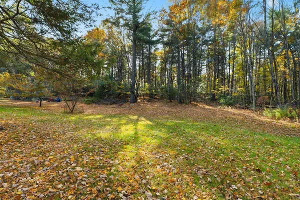 a view of outdoor space with trees all around