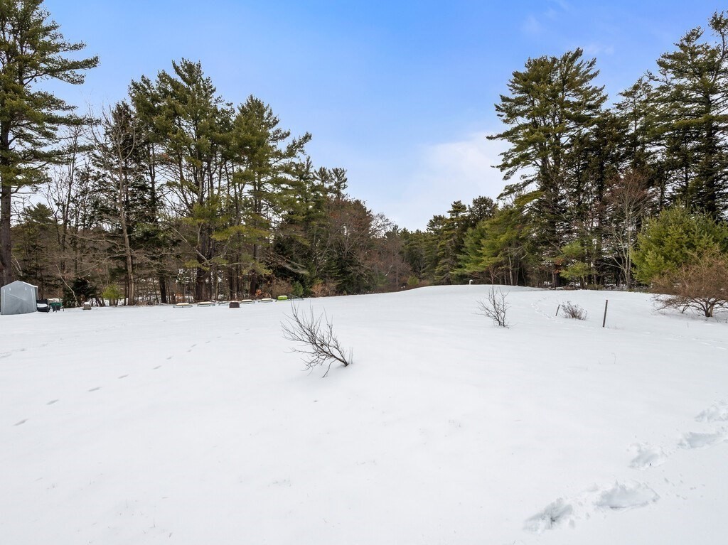 46 Baldwinville State Road Winchendon, MA 01475 - Photo 35 of 37 a view of a dry yard with trees