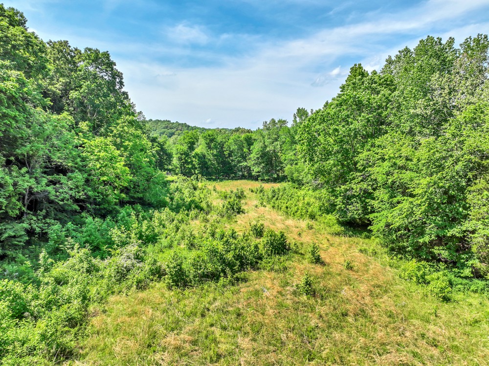 813 Wades Branch Road Centerville, TN 37033 - Photo 16 of 43