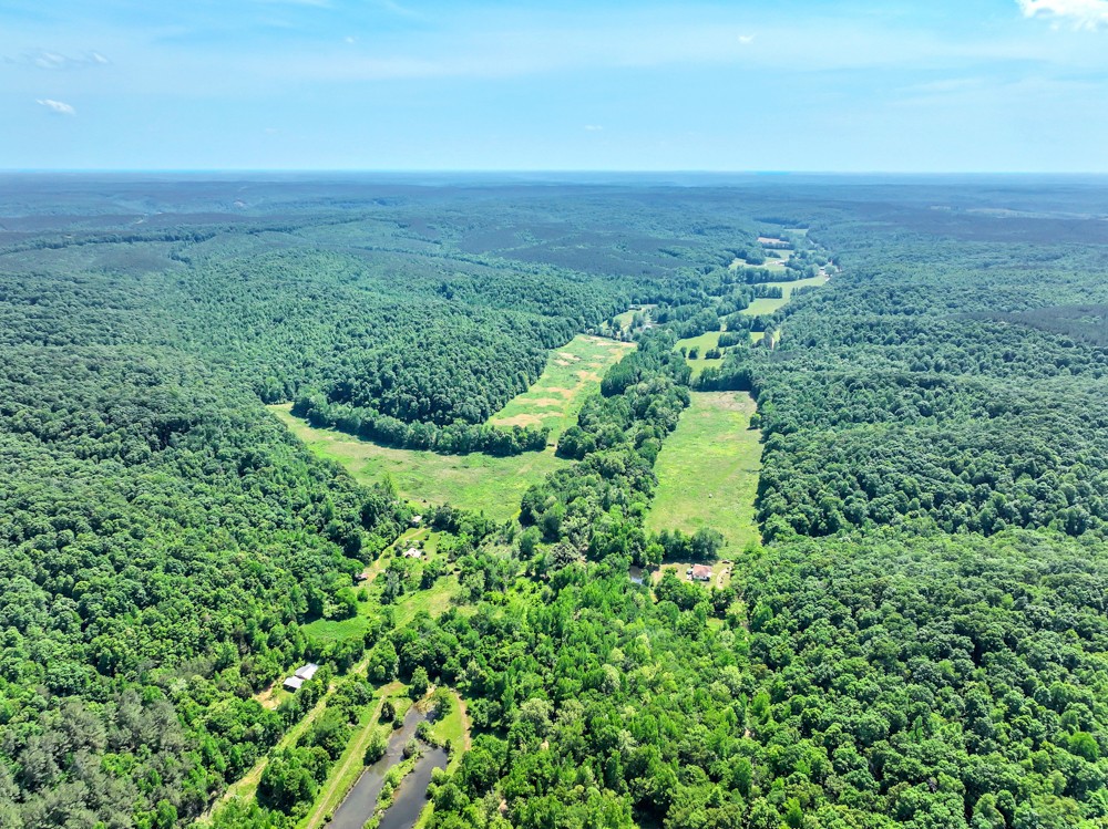 813 Wades Branch Road Centerville, TN 37033 - Photo 6 of 43