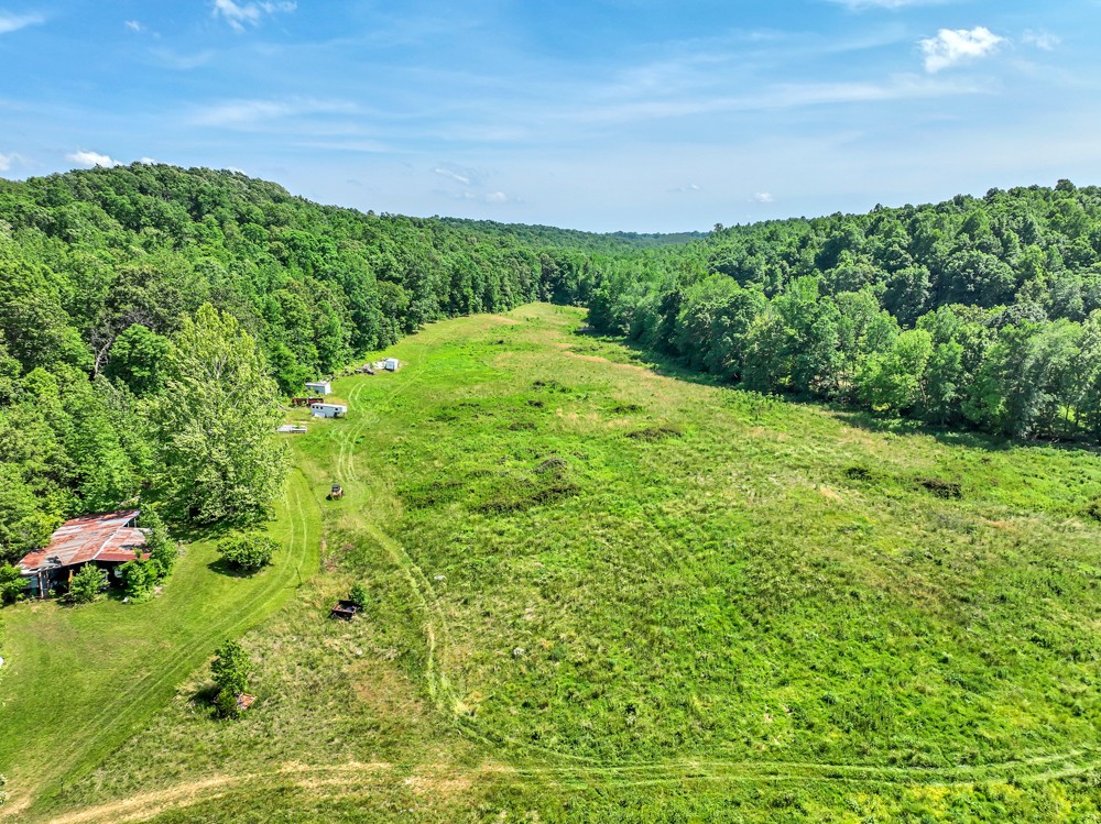 813 Wades Branch Road Centerville, TN 37033 - Photo 9 of 43