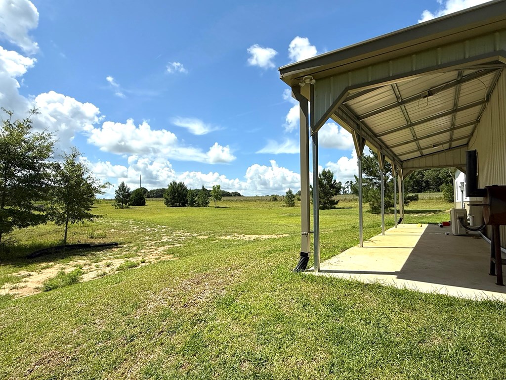 245 County Road 422 Abbeville, AL 36310 - Photo 24 of 39