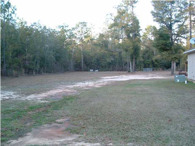 893 Lighthouse Church Road Holt, FL 32564 - Photo 5 of 24 a view of outdoor space with trees
