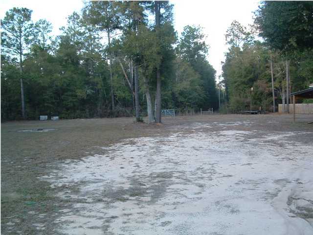 893 Lighthouse Church Road Holt, FL 32564 - Photo 7 of 24 a view of outdoor space with trees