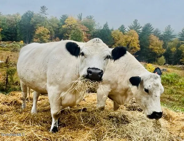 $1,100,000 | 276 Great Barrington Road, West Stockbridge, MA 01236