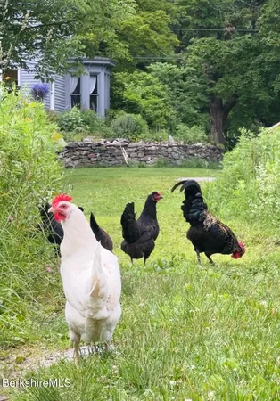 $1,100,000 | 276 Great Barrington Road, West Stockbridge, MA 01236