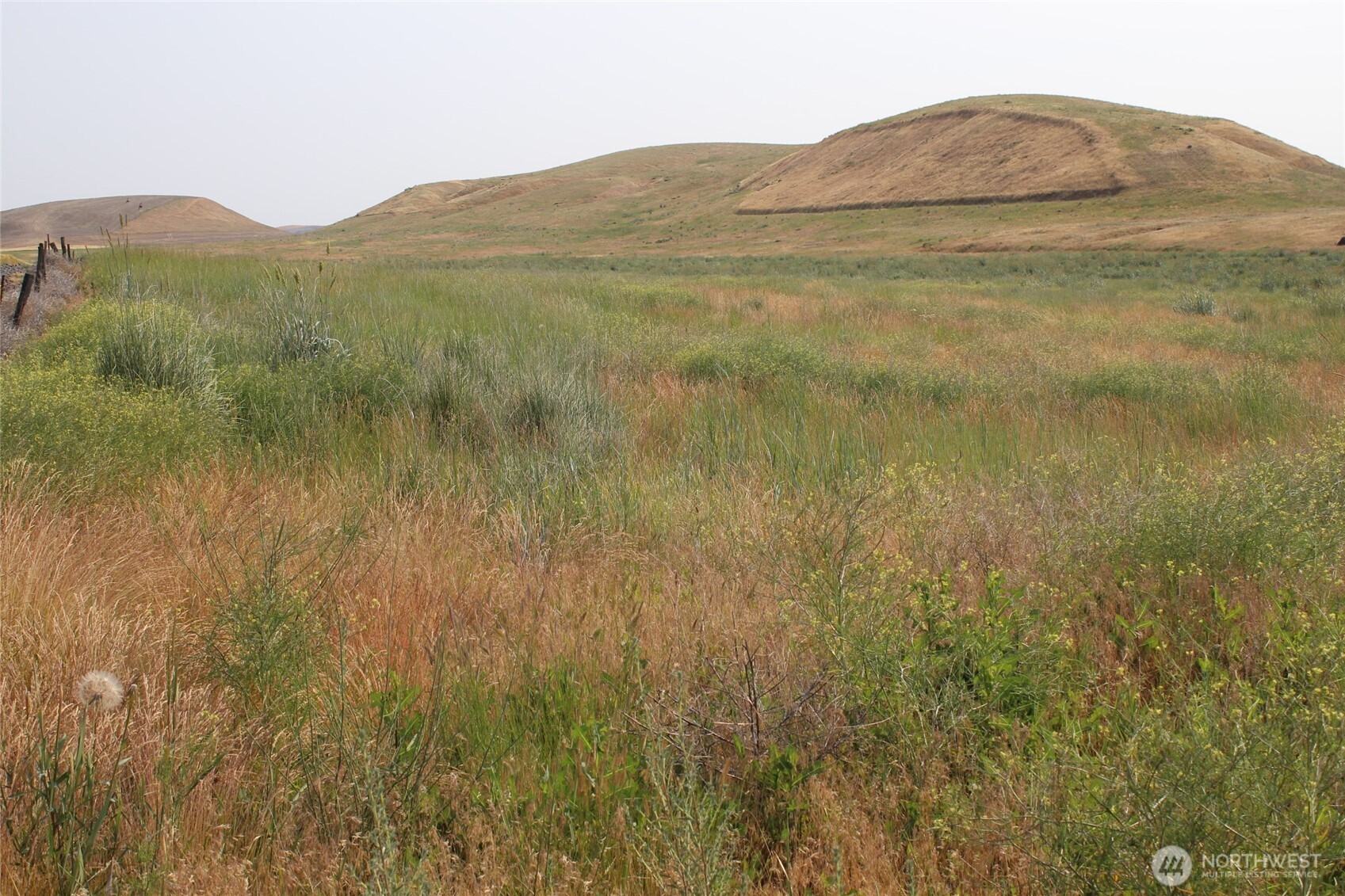 a view of ocean with green space