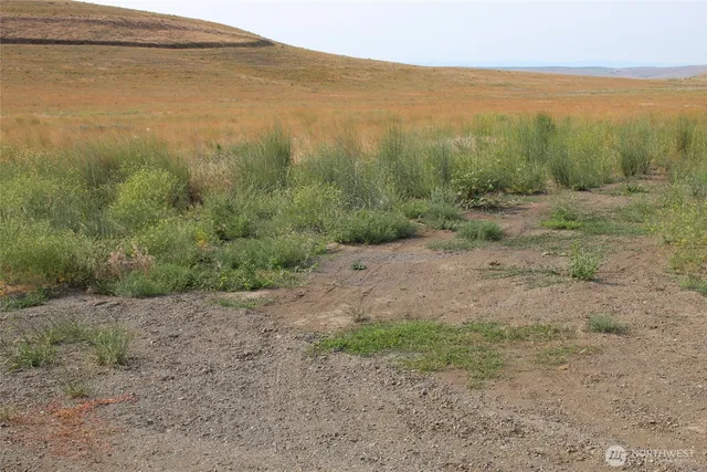 a view of a field with an ocean view