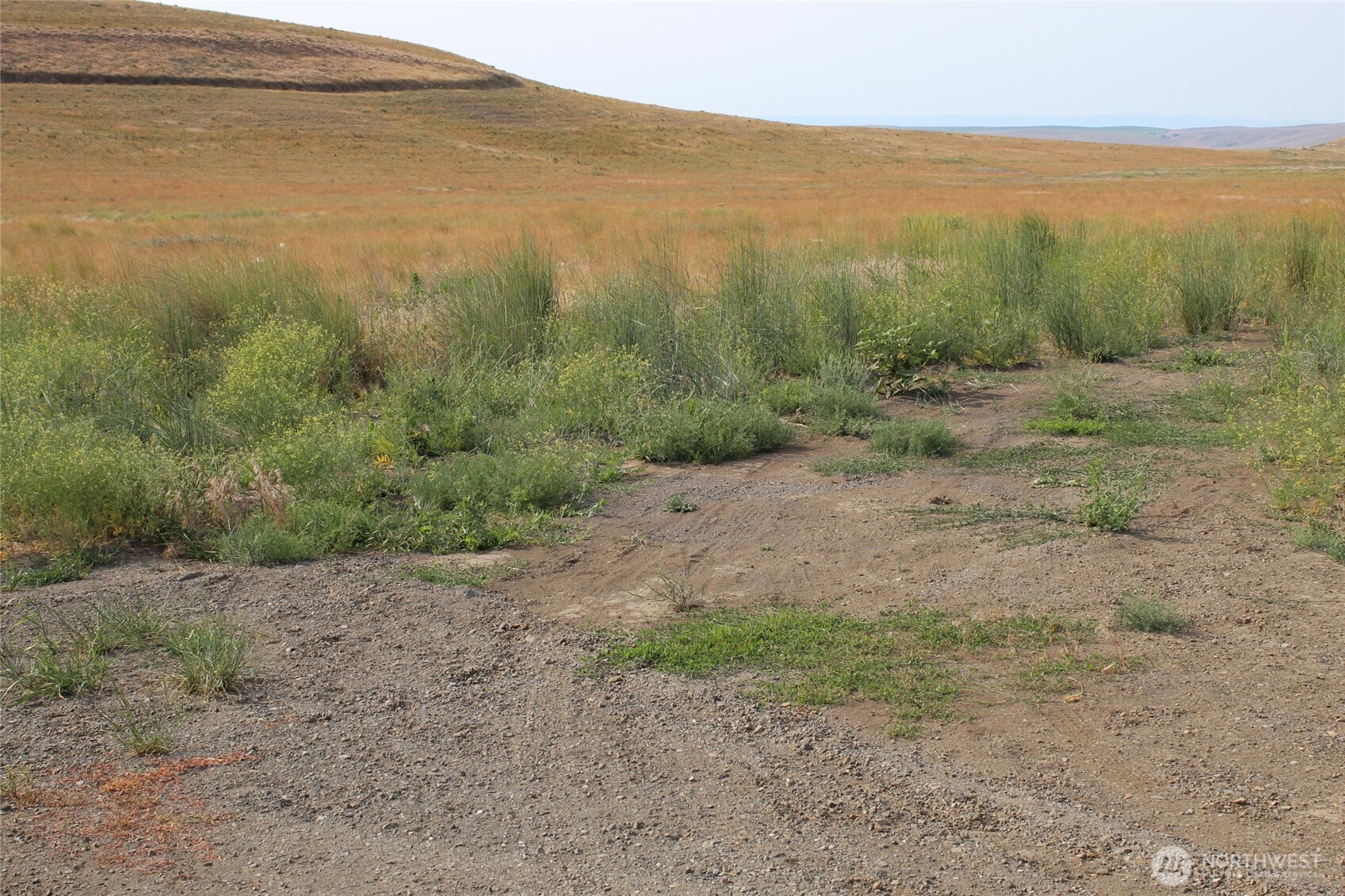 0 Allert Road Benge, WA 99105 - Photo 2 of 8 a view of a field with an ocean view