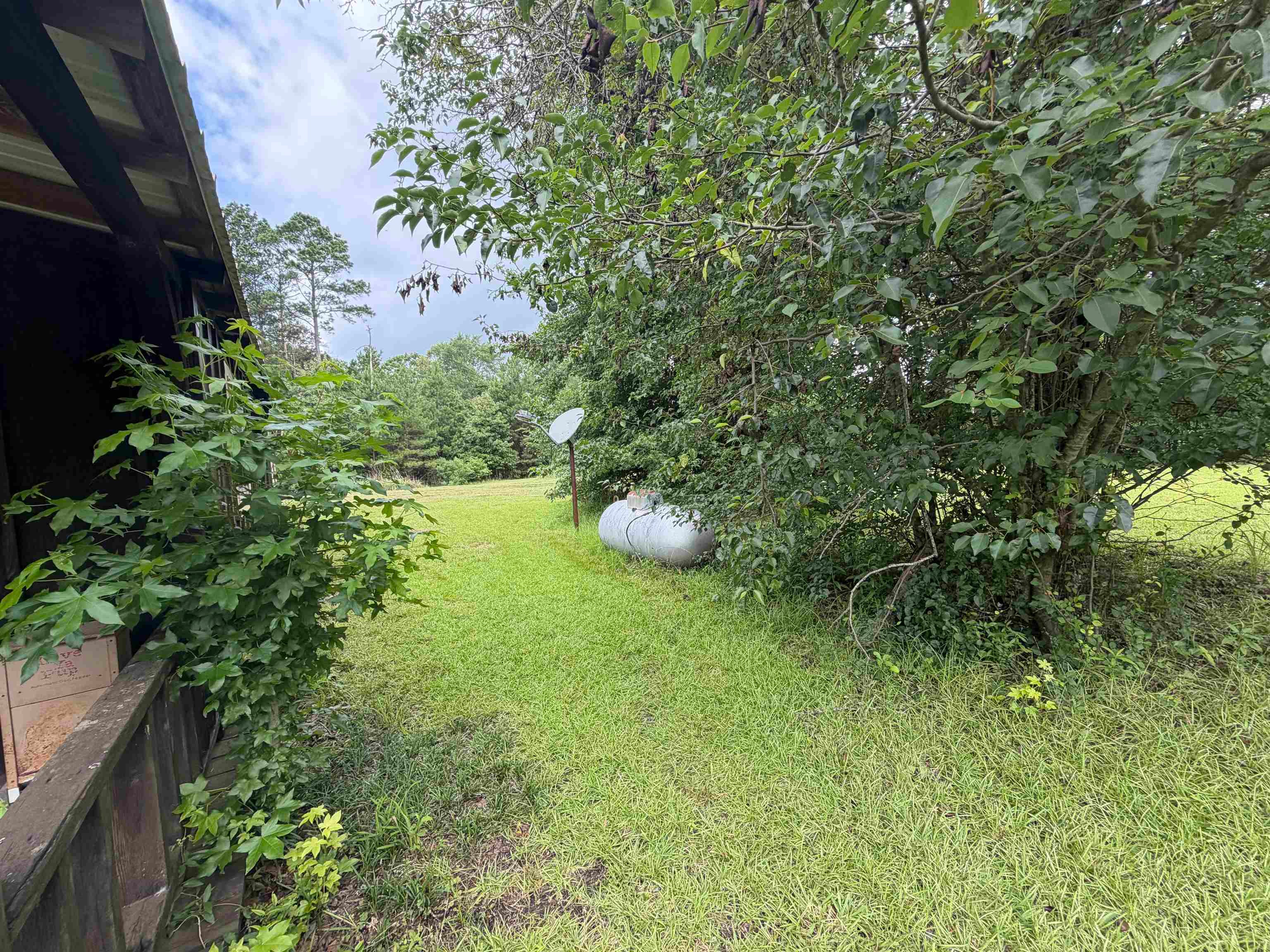 577 Mercer Road Marshall, TX 75672 - Photo 14 of 30 Gallery Image 14