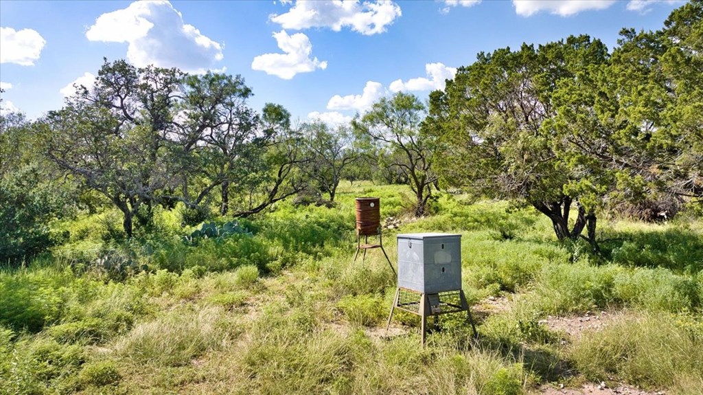 0 County Road Brady, TX 76825 - Photo 5 of 12 a view of a garden with plants