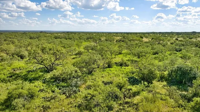 a view of a yard with an outdoor space