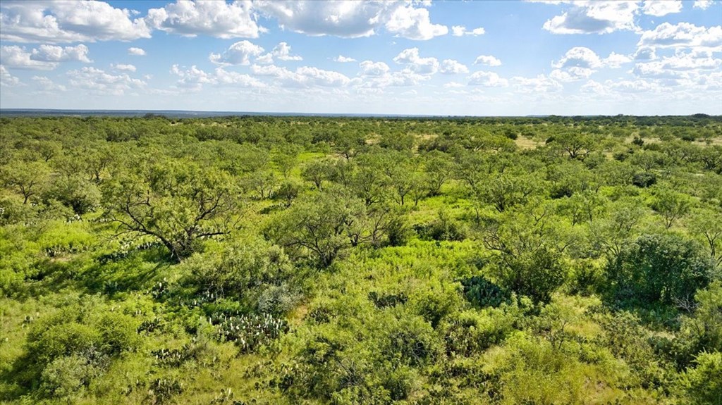 0 County Road Brady, TX 76825 - Photo 7 of 12 a view of a yard with an outdoor space