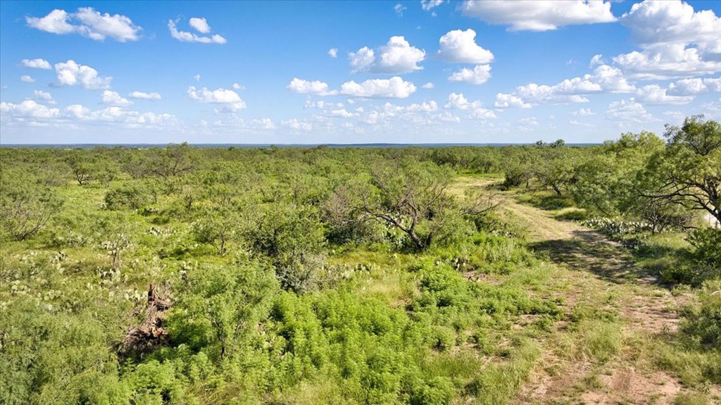 0 County Road Brady, TX 76825 - Photo 8 of 12 a view of a lake