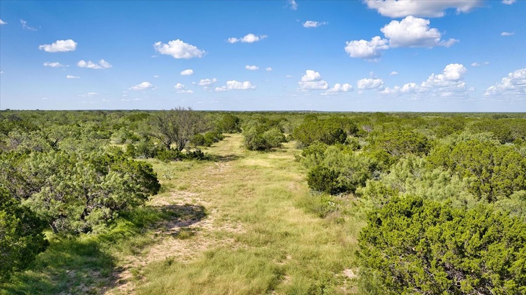 0 County Road Brady, TX 76825 - Photo 9 of 12