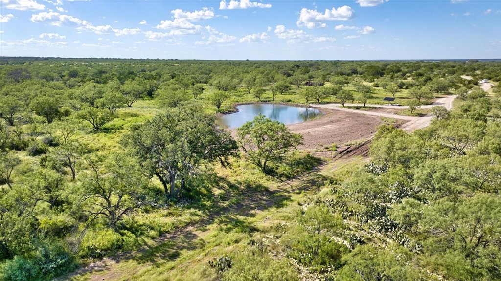 0 County Road Brady, TX 76825 - Photo 10 of 12 a view of a lake with a building in the background