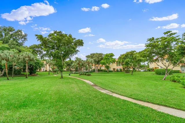 a view of a big yard with a large tree