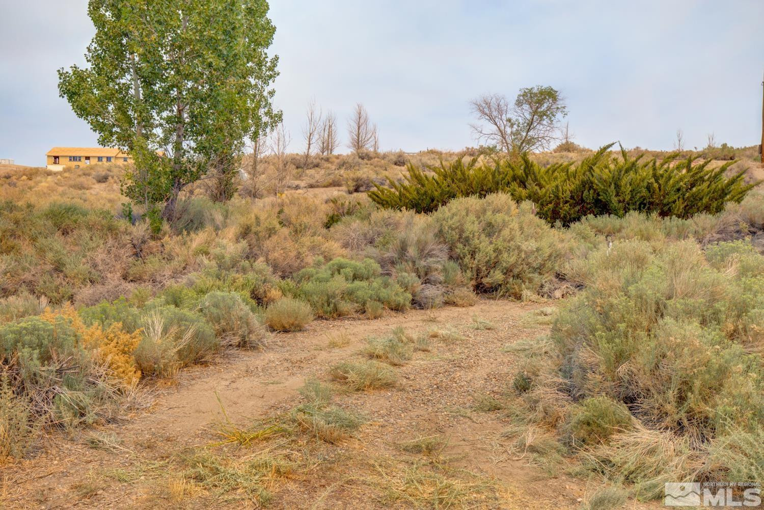 6 Artist View Road Wellington, NV 89444 - Photo 12 of 16 Photo 12