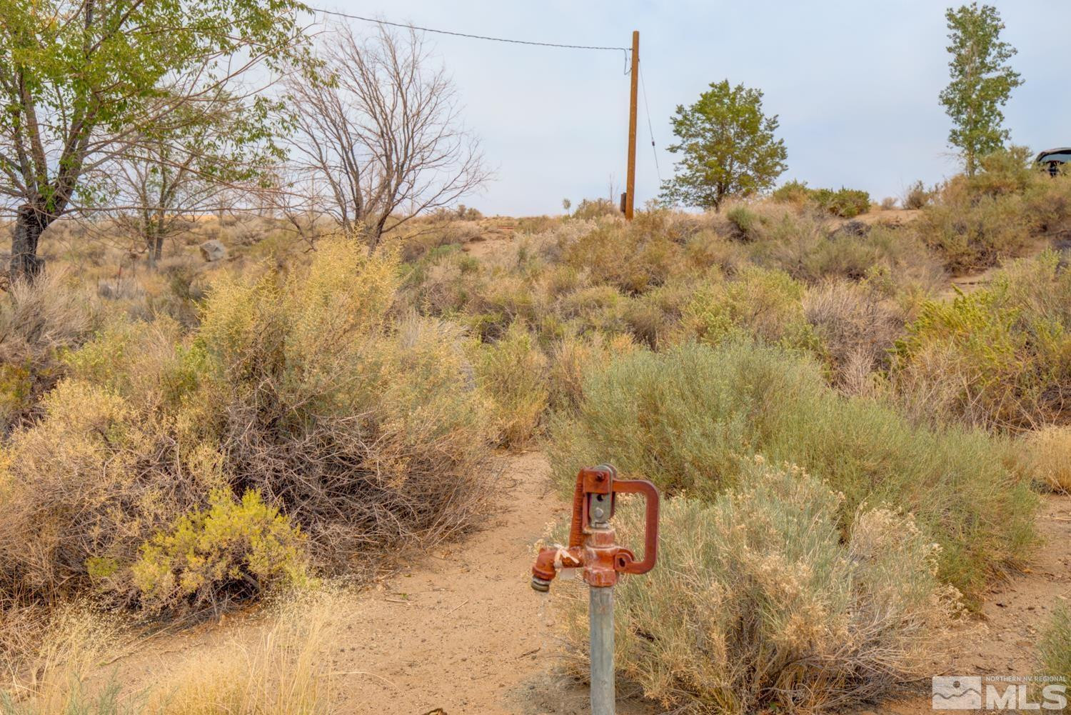 6 Artist View Road Wellington, NV 89444 - Photo 15 of 16 Photo 15