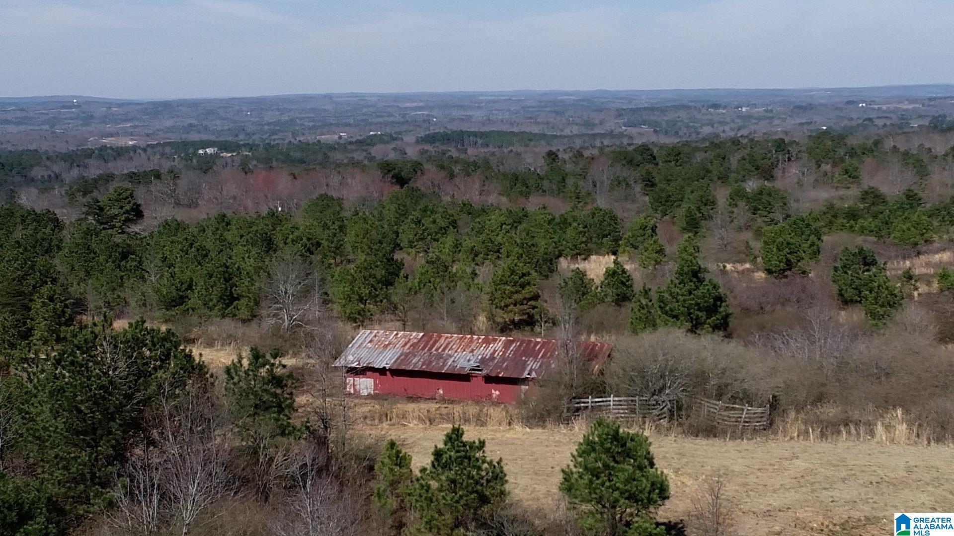 0 Jones Chapel Loop, Unit 20 ACRES Springville, AL 35146 - Photo 5 of 13