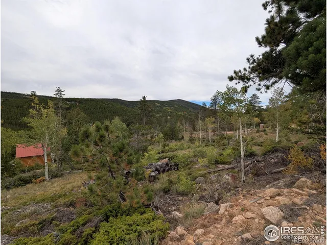 a view of a yard with wooden fence
