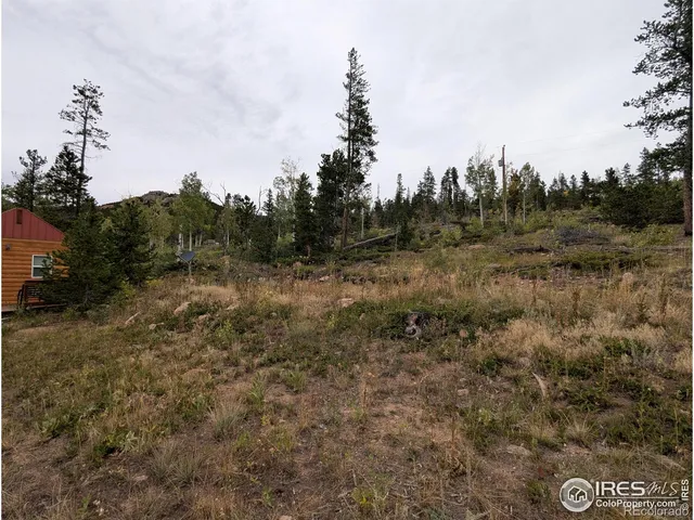 a view of outdoor space and green space
