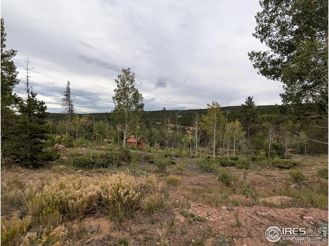 a view of a yard in front of a house