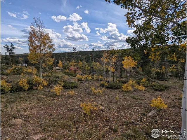 a view of a yard in front of a house