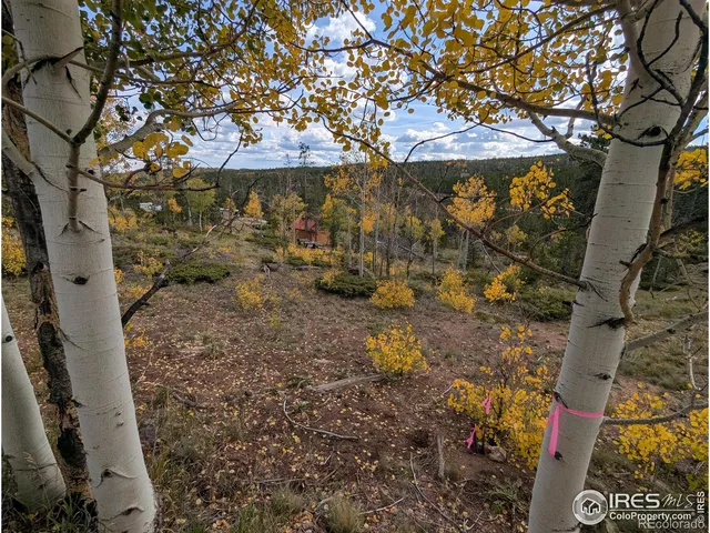 $110,000 | 37 North Oneida Court, Red Feather Lakes, CO 80545