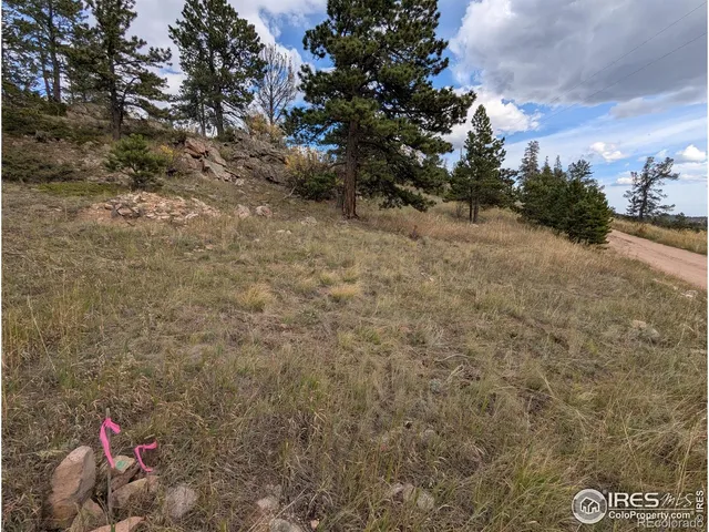 $110,000 | 37 North Oneida Court, Red Feather Lakes, CO 80545