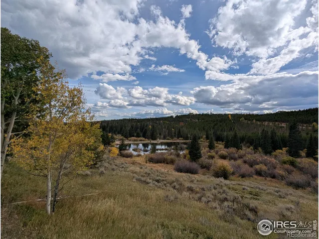 $110,000 | 37 North Oneida Court, Red Feather Lakes, CO 80545