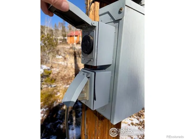 a view of a forest with trees in the background