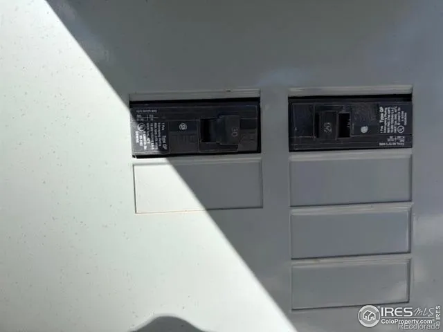 a view of a forest with a mountain