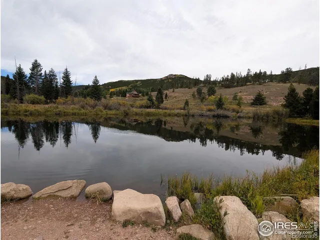 a view of a dry yard with trees