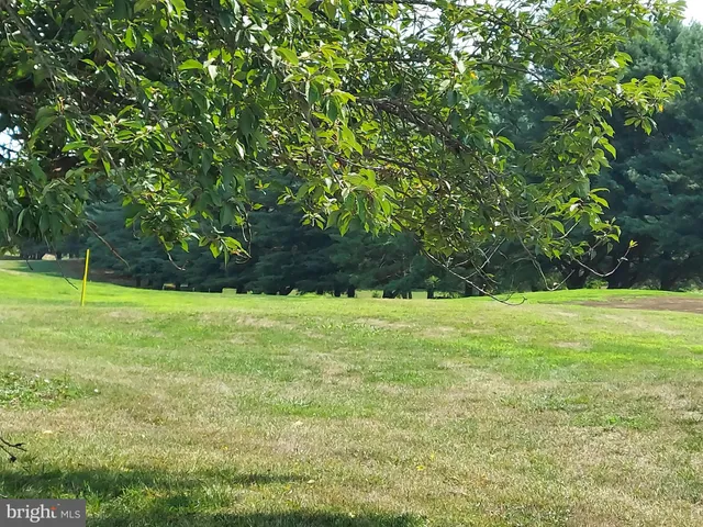 a view of yard with grass