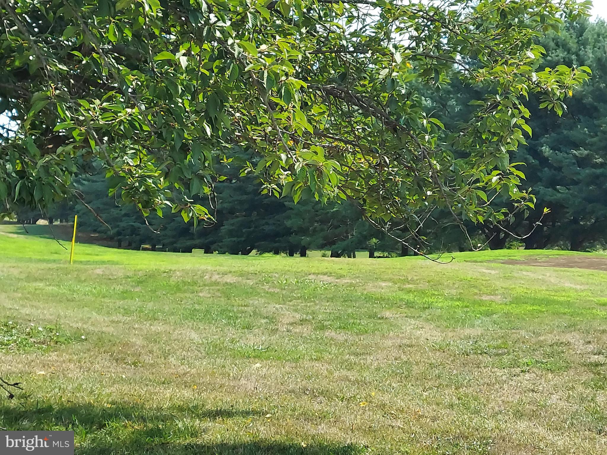 Bowling View Front Royal, VA 22630 - Photo 11 of 16 a view of yard with grass