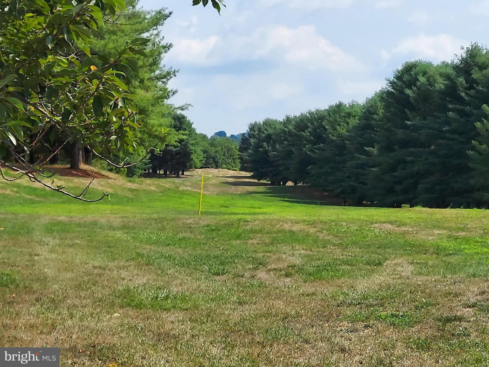 Bowling View Front Royal, VA 22630 - Photo 13 of 16 a view of a field of grass and trees