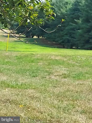 a picture of trees in front of a yard