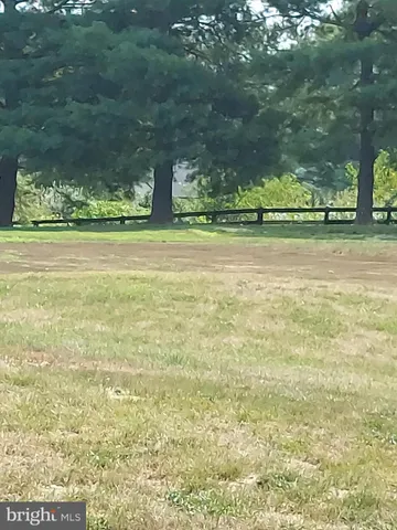 a view of a green field