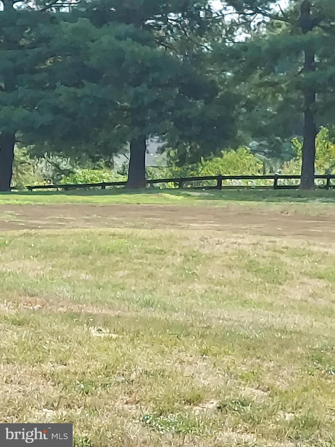 Bowling View Front Royal, VA 22630 - Photo 5 of 16 a view of a green field